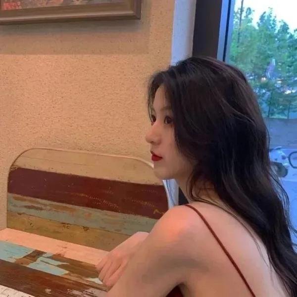 木材宝藏狗